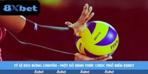 tỷ lệ kèo bóng chuyền